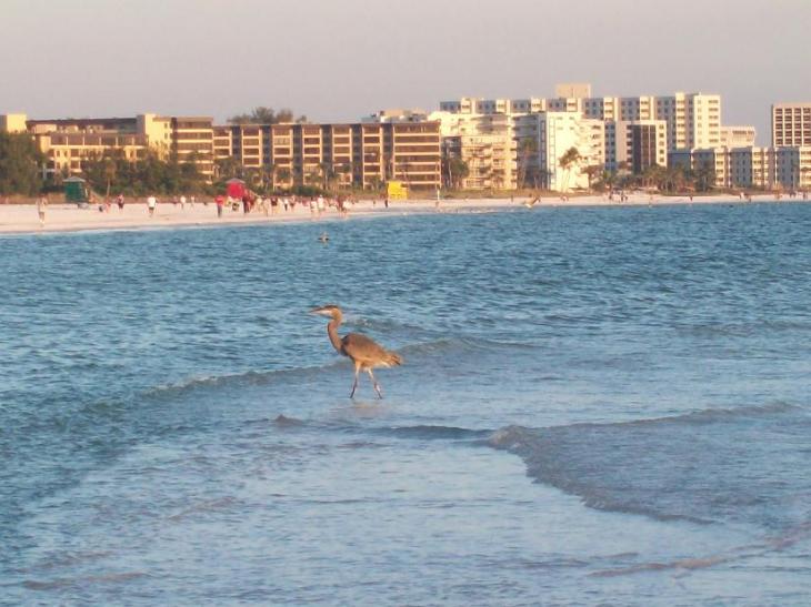 more-siesta-keys-008