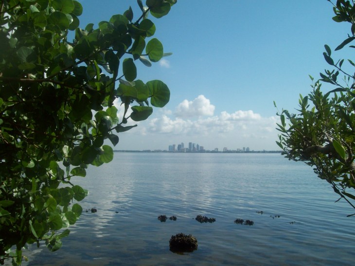 I am writing today from the beautiful Tampa Bay area.