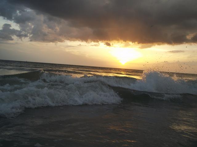 I am writing today from the beautiful Tampa Bay area.