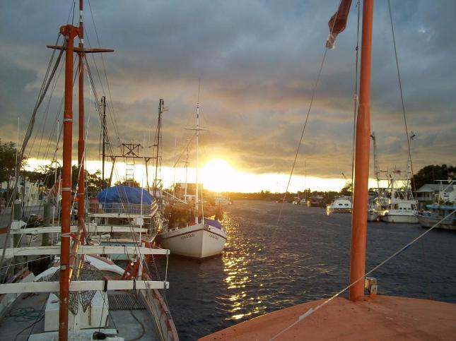 Tarpon Springs 001