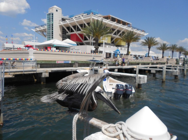 I am writing tonight from the beautiful Tampa Bay area.