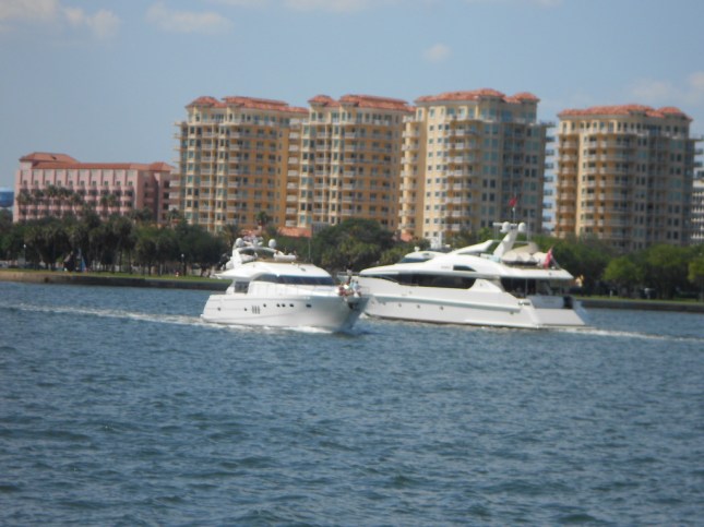 Dolphin Cruise Con Don Y Eva 065