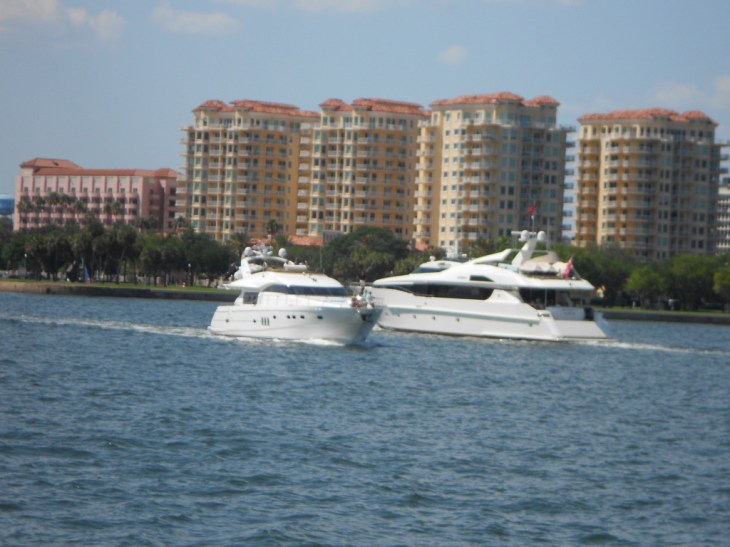 Dolphin Cruise Con Don Y Eva 065