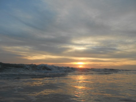 I am writing today from the beautiful Tampa Bay area.