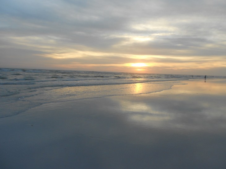 I am writing today from the beautiful Tampa Bay area.