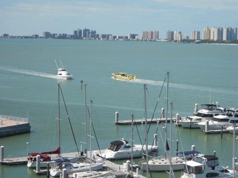 I am writing today from the beautiful Tampa Bay area.