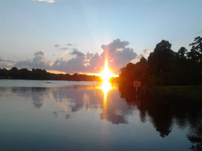 Hillsborough River Tampa