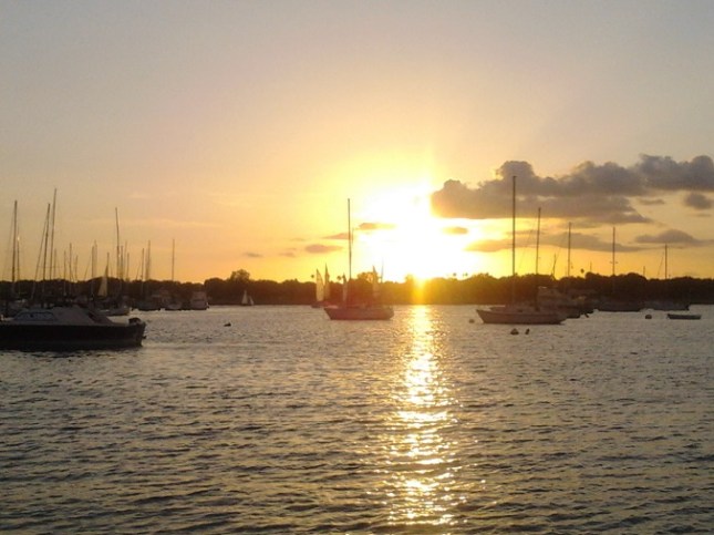 I am writing tonight from the beautiful Tampa Bay area.