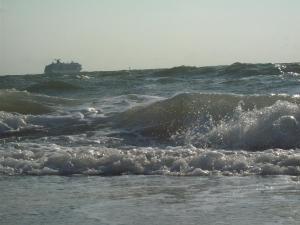 I am writing today from the beautiful Tampa Bay area.