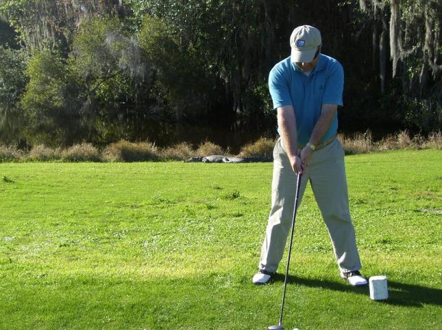 I am writing today from the beautiful, alligator infested Tampa Bay area.