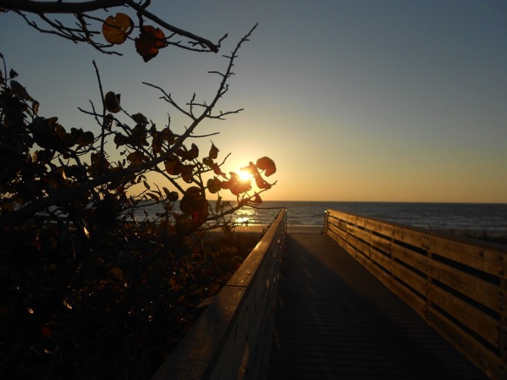 I am writing tonight from the beautiful Tampa Bay area.