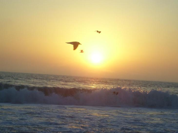 I am writing today from the beautiful Tampa Bay area.