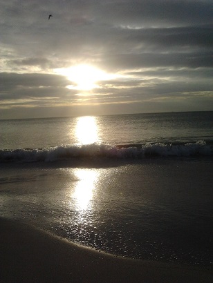 I am writing today from the beautiful Tampa Bay area.