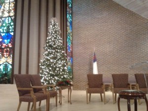 I am writing today from the beautiful Tampa Bay area.