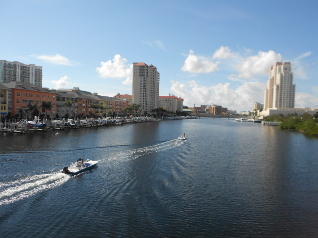 I am writing today from the beautiful Tampa Bay area. 