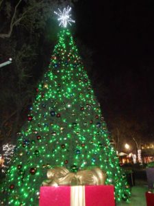 I am writing today from the beautiful Tampa Bay area.