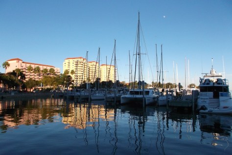 I am writing today from the beautiful Tampa Bay area.