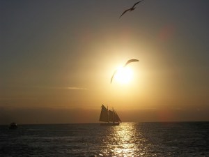 I am writing tonight from the beautiful Tampa Bay area.