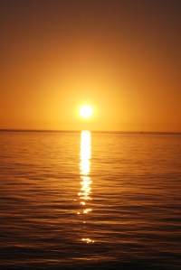 I am writing tonight from the beautiful Tampa Bay area. 