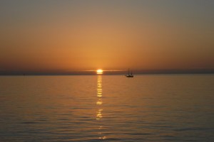 I am writing today from the beautiful Tampa Bay area.