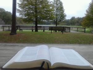 I am writing tonight from the beautiful Tampa Bay area.