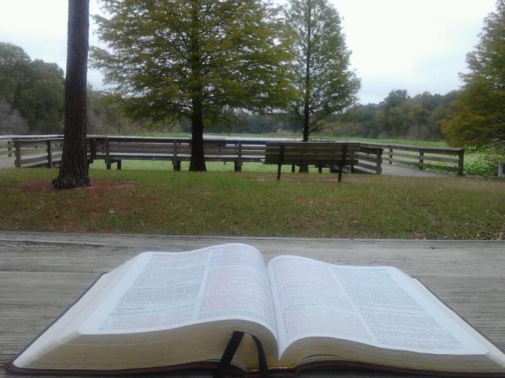  I am writing today from the beautiful Tampa Bay area.