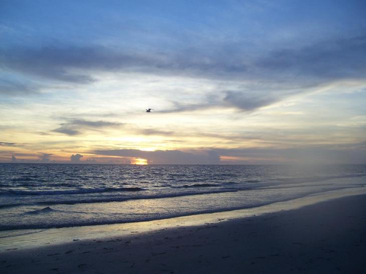 I am writing today from the beautiful Tampa Bay area.