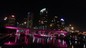 I am writing today from the beautiful Tampa Bay area.