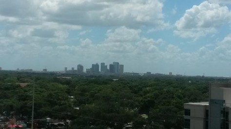 I am writing today from the beautiful Tampa Bay area. 