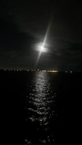 I am writing today from the beautiful Tampa Bay area.