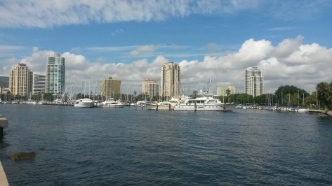 I am writing today from the beautiful Tampa Bay area.