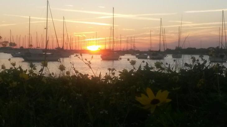 I am writing today from the beautiful Tampa Bay area.