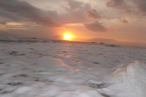 I am writing today from beautiful Florida.