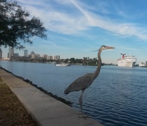 I am writing today from the beautiful Tampa Bay area.