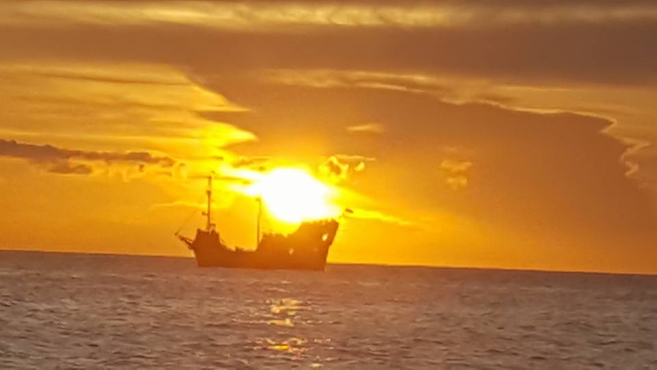 13726699_10153955611779775_327120489111159588_n