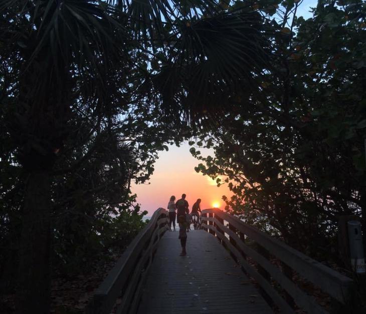 18198998_290045178090233_3095959430729891349_n